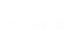 black-bull-solutions